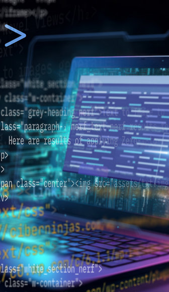 SEO et Performance Web